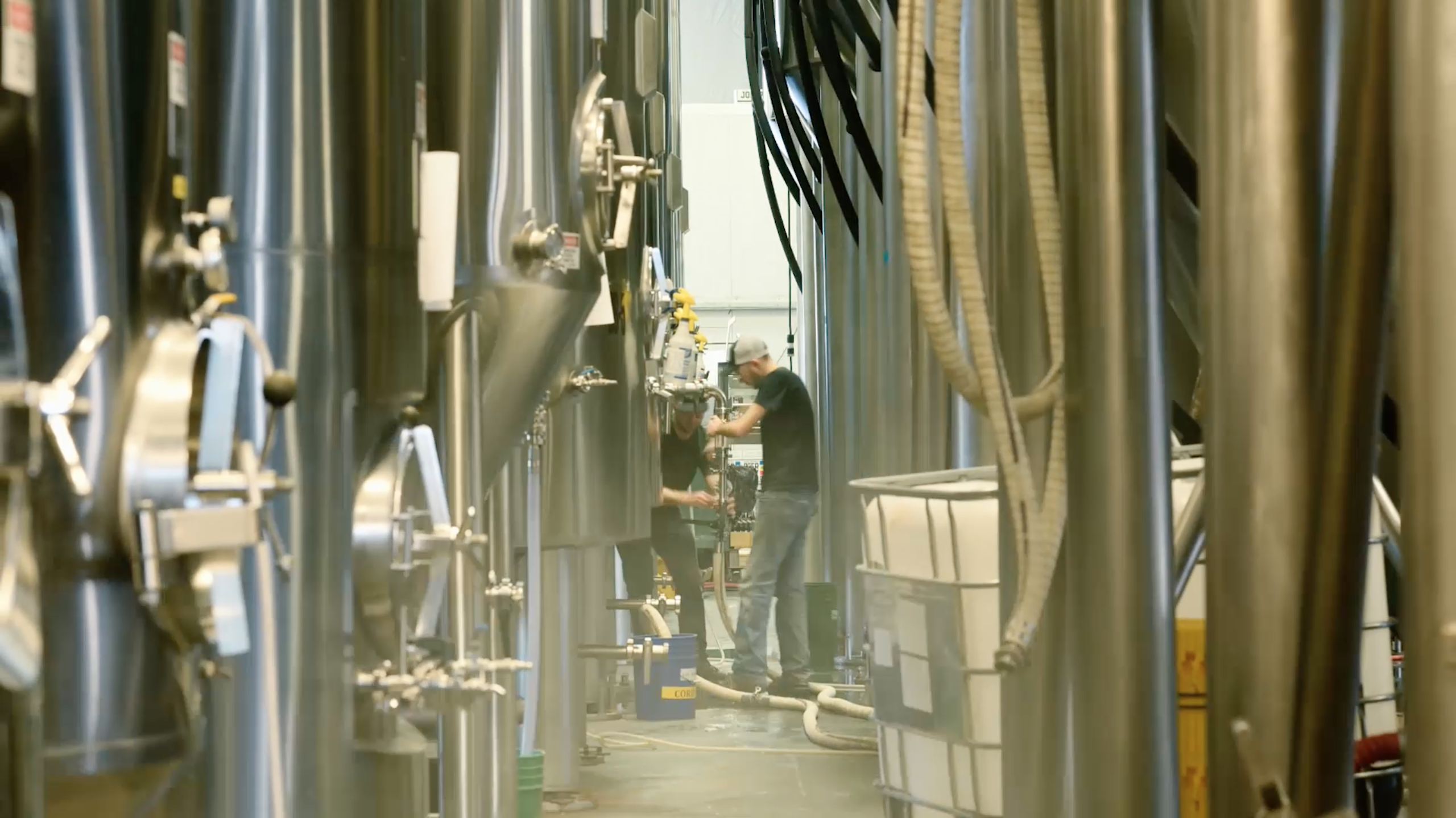 Learn More about The Brewery
